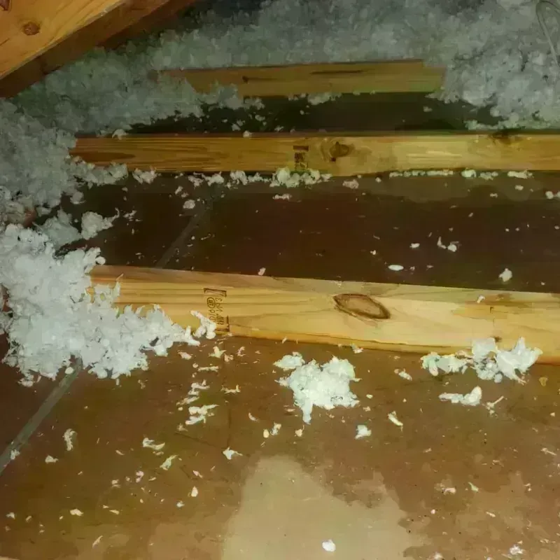 Attic Water Damage in Ruidoso Downs, NM